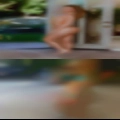 Grove nude girls