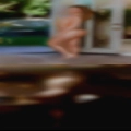Housewives pussy